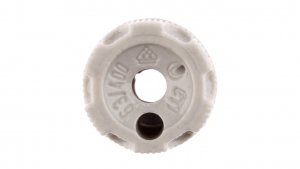 Główka bezpiecznikowa D02 porcelana /do plombowania/ KN D02P 002232004