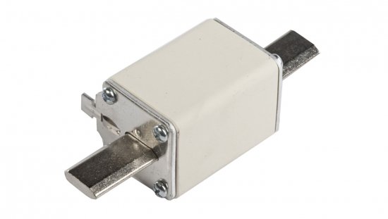 Wkładka bezpiecznikowa NH1 100A gF 500V WT-1 004139117
