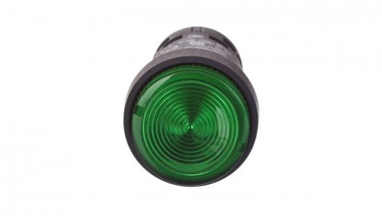 Przycisk sterowniczy 22mm zielony 1Z z samopowrotem z podświetleniem 230V AC XB7NW33M1