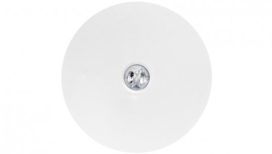 Oprawa awaryjna AXN IP65 LED 6W 780lm (opt. koryt.) 1h jednozadaniowa AT biała AXNC/6W/B/1/SE/AT/WH