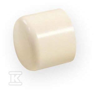 ZAŚLEPKA KW 3/4  PVC-C