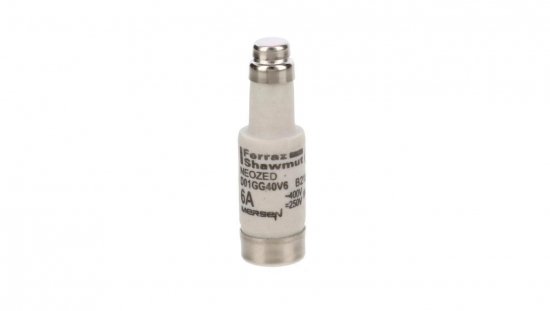 Wkładka bezpiecznikowa D01 gG 400VAC /250VDC 6A B215695
