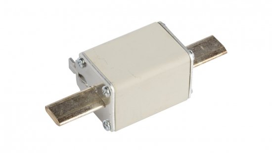 Wkładka bezpiecznikowa NH1 25A gF 500V WT-1 004139111