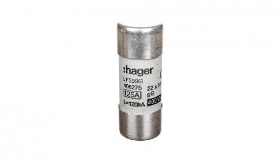 Wkładka bezpiecznikowa BiWtz cylindryczna 22x58mm 125A gG LF599G