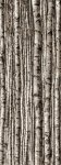 Tubądzin Dekor ścienny szklany 4-elementowy Birch 239,8x89,8