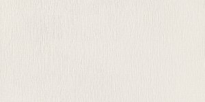 Domino Velo Bianco 119,8x59,8