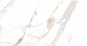 Regal Carrara Poler 60x120 