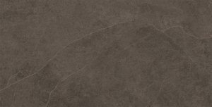 Domino Linva brown 30,8x60,8