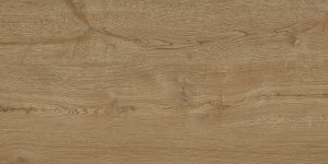 Rio Gold 60x120