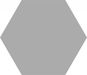 Codicer Basic Silver Hex 22x25