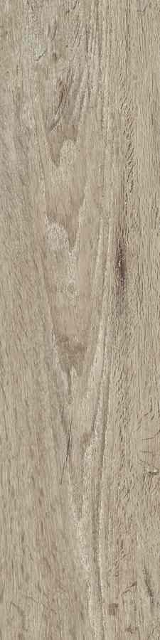 Stargres Siena Beige 15,5x62