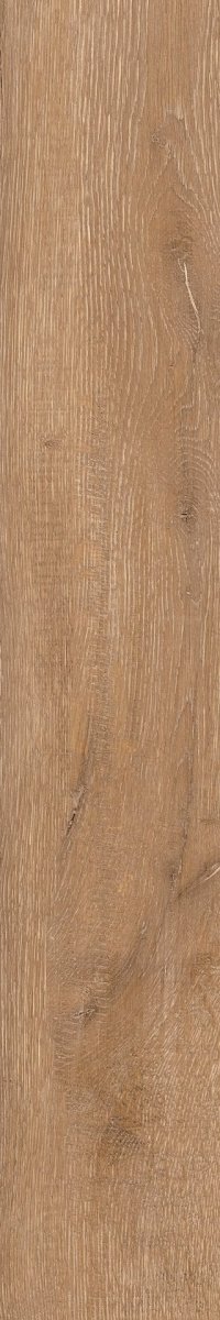 Epicentr Newcastle Gold 19,8x120