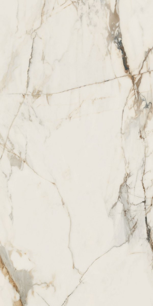 Paradyż Passion White Mat. 59,8x119,8