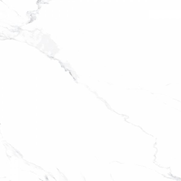 Carrara Blanco Poler 120x120