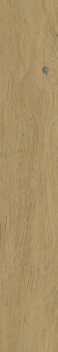 Paradyż Spacewood Gold 19,8x119,8