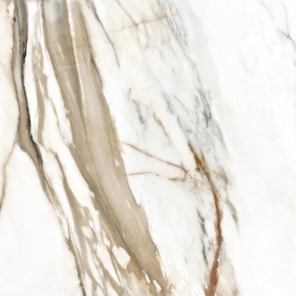Stargres Calacatta Gold 60x60