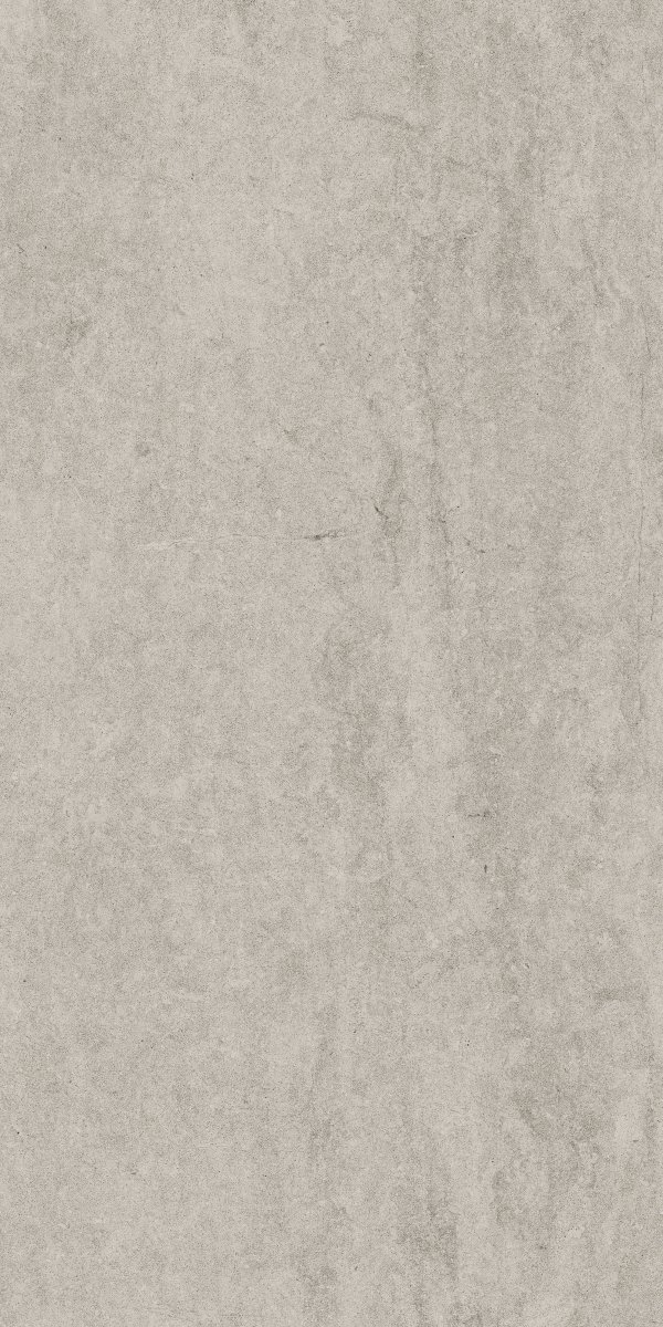 Cerrad Dignity Light Grey 119,7x59,7