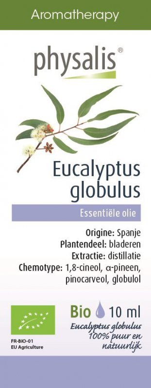 Olejek eteryczny eukaliptus gałkowy (eucalyptus globulus) bio 10 ml - Physalis