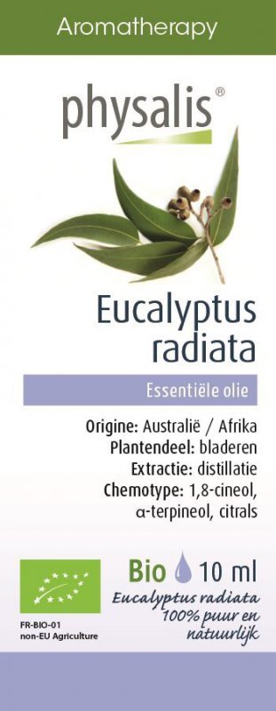 Olejek eteryczny eukaliptus australijski (eucalyptus radiata) bio 10 ml - Physalis