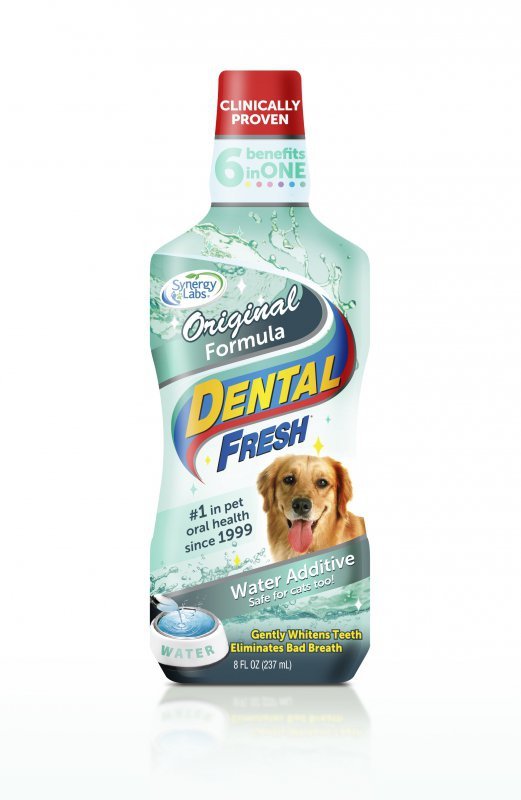 Dental Fresh - standard dla psów i kotów