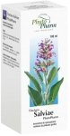 Tinctura Salviae Phytopharm nalewka z szałwii 100 ml