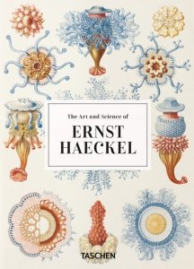 The Art and Science of Ernst Haeckel