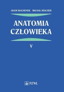 Anatomia człowieka Tom 5