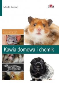 Kawia domowa i chomik 