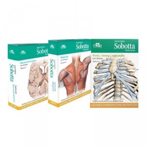 Anatomia Sobotta Flashcards. Neuroanatomia +  Kości, stawy i więzadła +  Mięśnie. Łacińskie mianownictwo anatomiczne