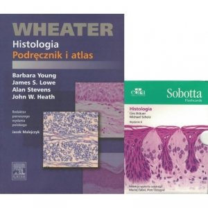 Histologia. Podręcznik i atlas. Wheater + Sobotta Flashcards. Histologia