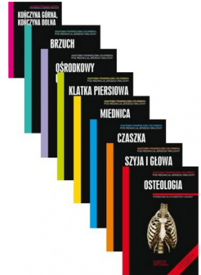 Anatomia Prawidłowa Człowieka 1-8 Skawina