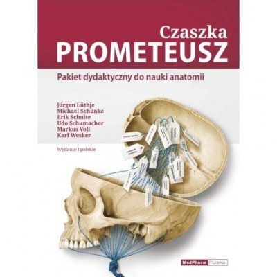 Czaszka PROMETEUSZ - Pakiet dydaktyczny do nauki anatomii