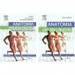 Anatomia układu ruchu. PODRĘCZNIK + ĆWICZENIA wyd.II 