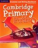 Cambridge Primary Path Level 4 Grammar and Writing Workbook 