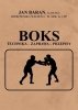 Boks Technika zaprawa przepisy 