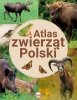 Atlas zwierząt Polski 