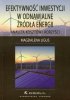 Efektywność inwestycji w odnawialne źródła energii 