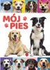 Mój pies 