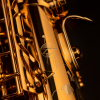 Saksofon altowy Henri Selmer Paris Signature gold plated