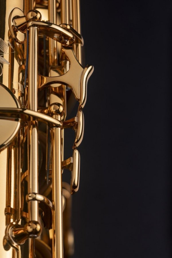 Saksofon tenorowy Henri Selmer Paris Supreme DGG dark gold lacquer