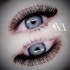 2D C CC D  0,07 0,085 0,10 0,12 6-12 mm BasicPro Paleta Mix