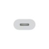 Jabłko | Przejściówka z USB-C na Lightning | Złącze USB-C | Adapter