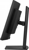 Monitor iiyama XCB3494WQSU-B1 34 - Płaski ekran - 86,4 cm
