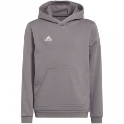 Bluza dla dzieci adidas Entrada 22 Hoody szara H57515 128cm