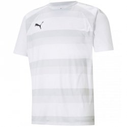 Koszulka męska Puma teamVISION Jersey biała 704921 04 M