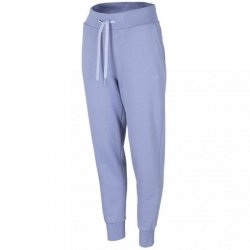 Spodnie damskie 4F denim H4Z22 SPDD351 32S S