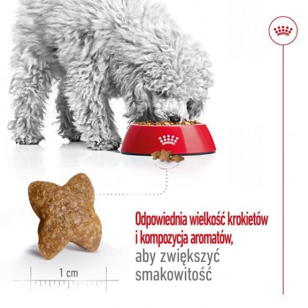 ROYAL CANIN SHN Mini Adult BF 8kg