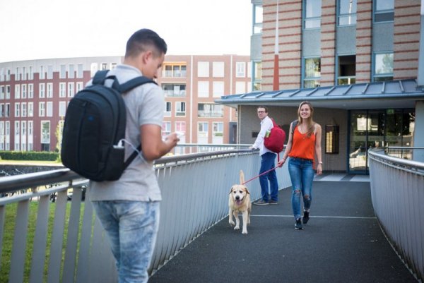 RIVACASE PLECAK NA LAPTOP 15,6&quot; ALPENDORF, NIEBIESKI, Z MATERIAŁU WODOODPORNEGO