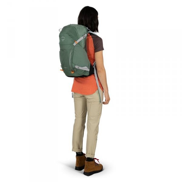Plecak turystyczny OSPREY Hikelite 26 Pine Leaf Green