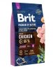 BRIT Premium by Nature Adult Sensitive Lamb and Rice - sucha karma dla psa - 8 kg 